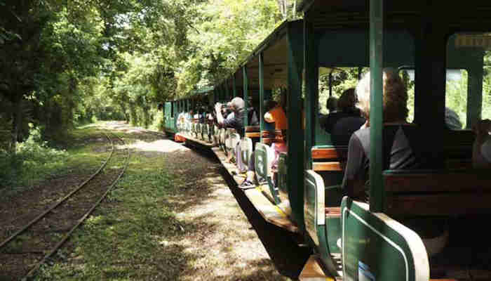 parque nacional iguazu